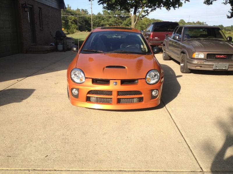 Always thought these looked so mean from the front